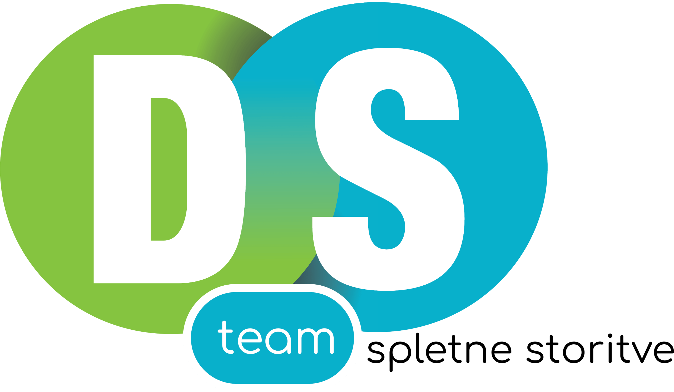 DS Team
